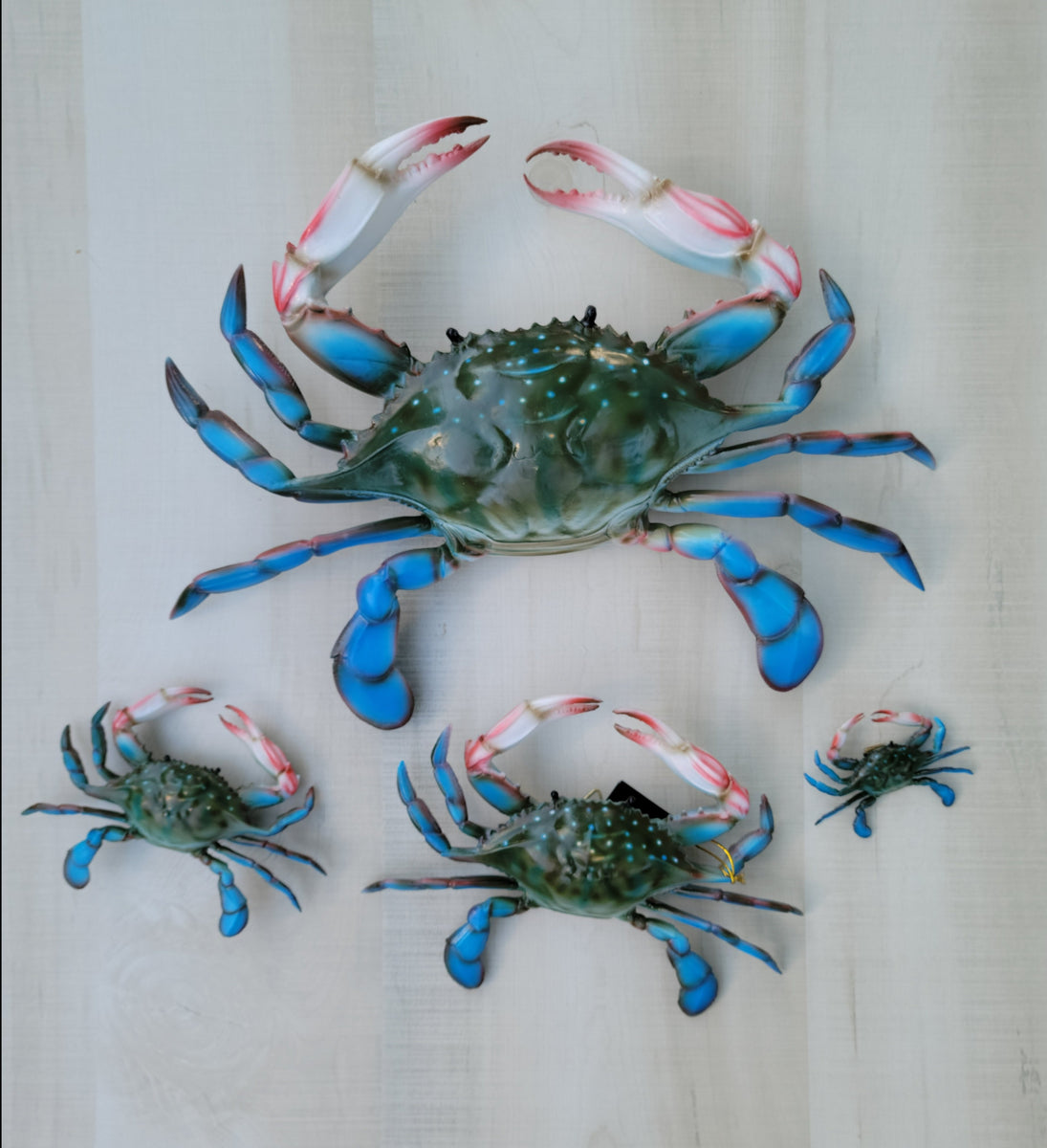 Blue Crab 3D wall replica – Tiki Decor Plus
