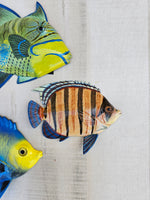 Tropical Fish wall decor - Set #5