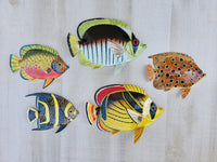 Tropical Fish wall decor - Set #6