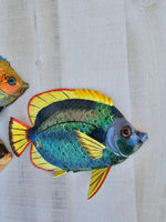 Tropical Fish wall decor - Set #9