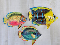 Tropical Fish wall decor - Set #10