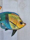 Tropical Fish wall decor - Set #11