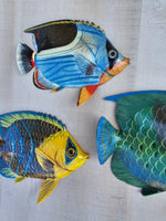 Tropical Fish wall decor - Set #11