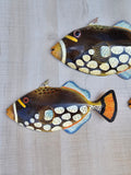 Tropical Fish wall decor - Set #12