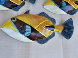 Tropical Fish wall decor - Set #13