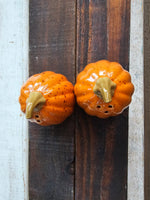 Pumpkin Salt and Pepper Shakers